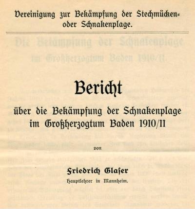 Bericht 1910