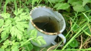 Wasseransammlung in weggeworfener Kaffeetasse.