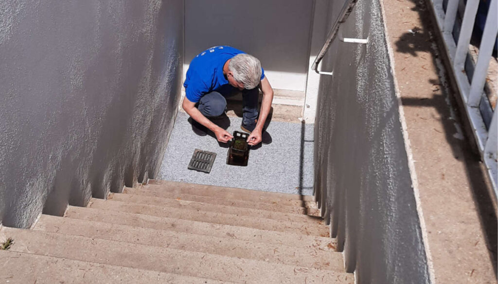 Ein KABS-Mitarbeiter sucht Tigermückenlarven in einem Wasserablauf vor einer Kellertür.