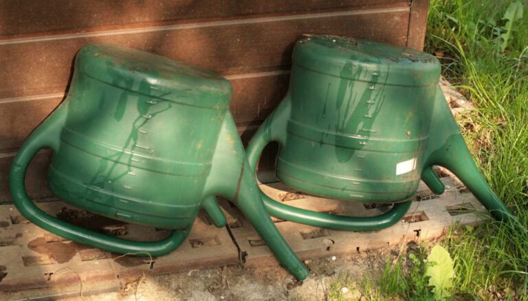 Tigermückenbrutstätten - KABS e.V.