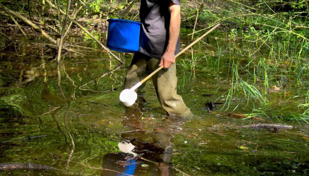 Ein KABS-Mitarbeiter bei der Zu-Fuß-Bekämpfung in Hördt.