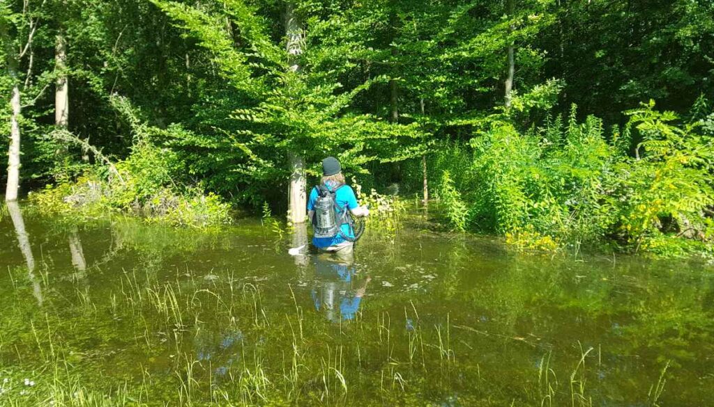 Zu-Fuß-Bekämpfung mit Rückenspitze.