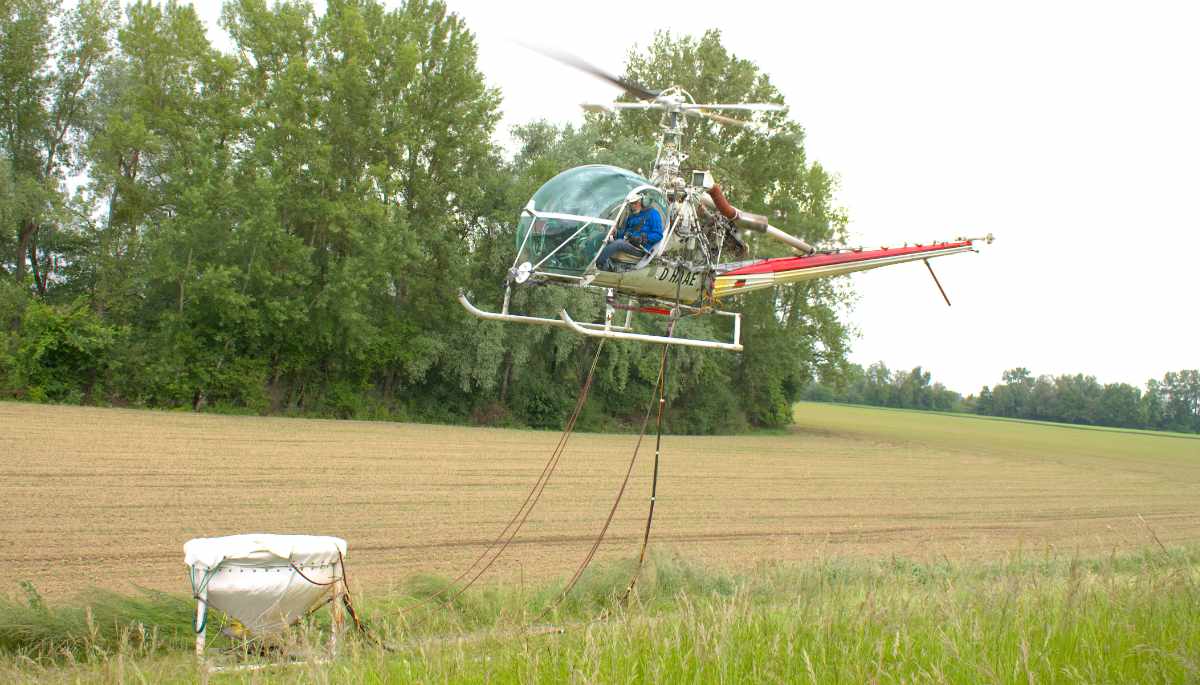 Ein Hubschrauber vom Typ Hiller hebt ab.