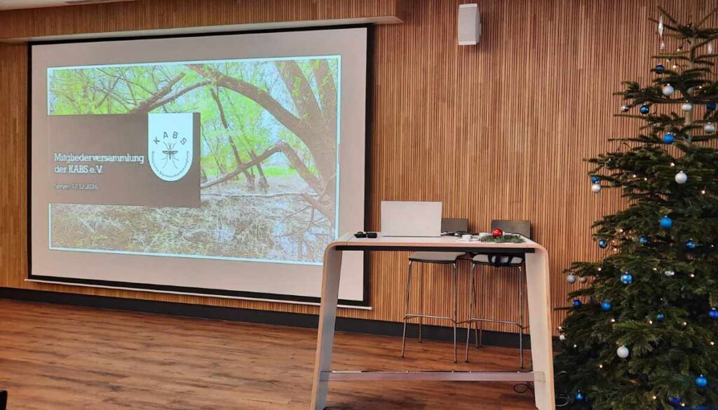 Ein Bild von der Mitgliederversammlung in Speyer, man sieht die Titelfolie auf einer Leinwand neben einem geschmückten Weihnachtsbaum.