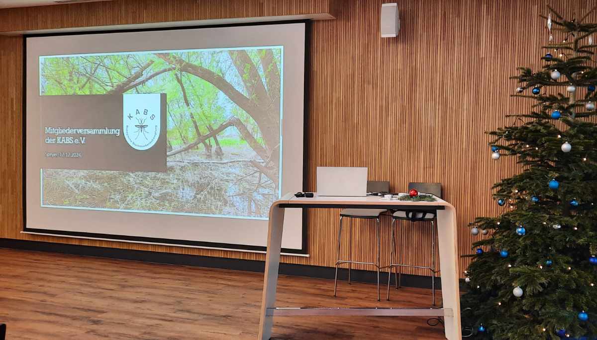 Ein Bild von der Mitgliederversammlung in Speyer, man sieht die Titelfolie auf einer Leinwand neben einem geschmückten Weihnachtsbaum.