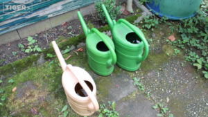 Mit Wasser gefüllte Gießkannen.