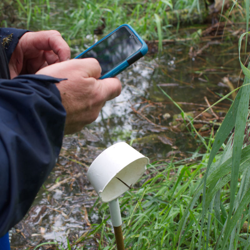 Ein KABS-Mitarbeiter kartiert auf einem Smartphone im Gelände.