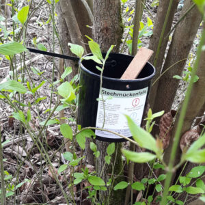 Eine Eiablagefalle im Einsatz.