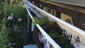 Eine durch Moos verstopfte Regenrinne.