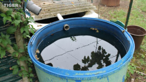 Eine mit Wasser gefüllte, nicht abgedeckte Regentonne.