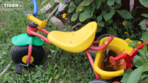 Im Körbchen des Dreirads hat sich Wasser angesammelt.