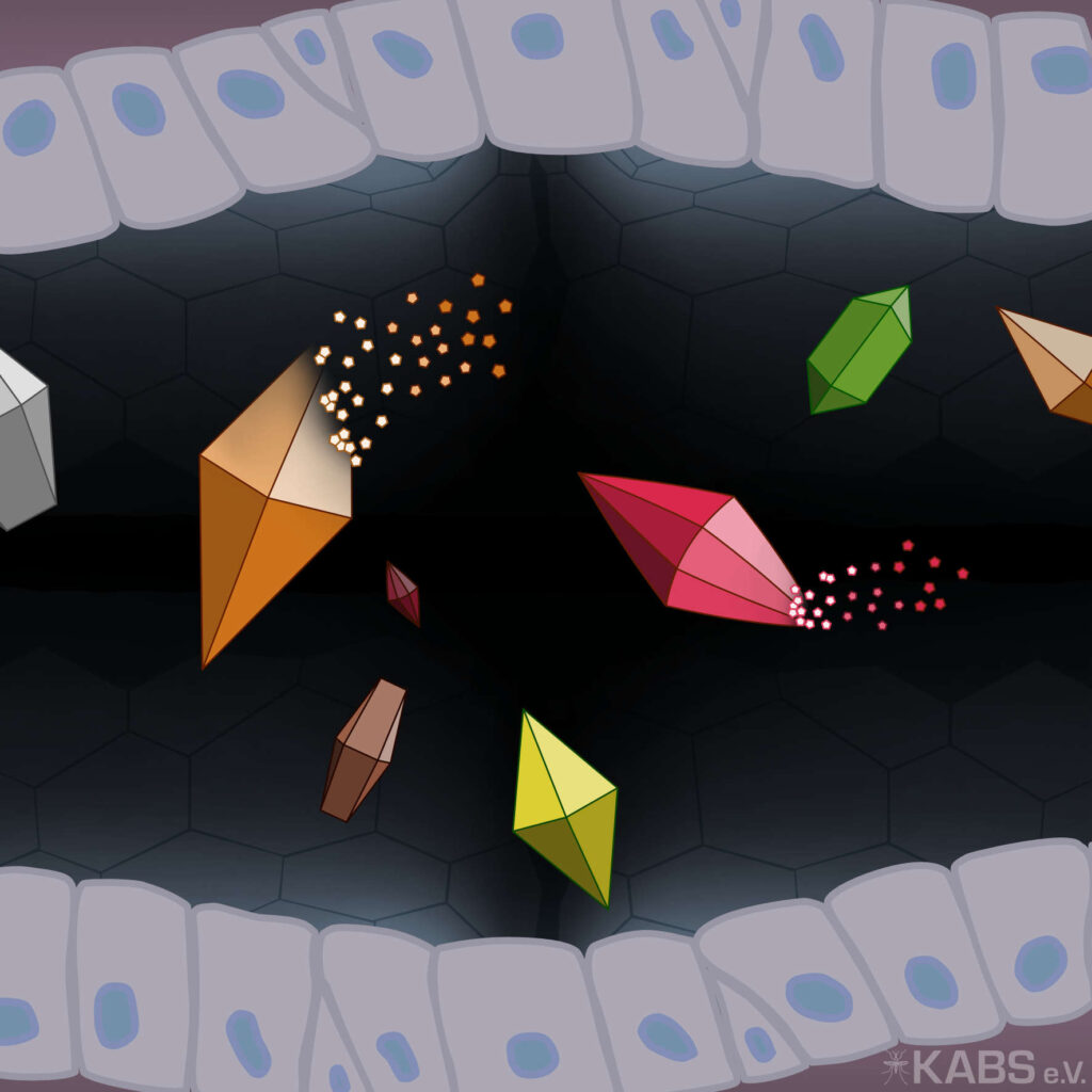 Grafik: Bti Kristalle werden aufgelöst.