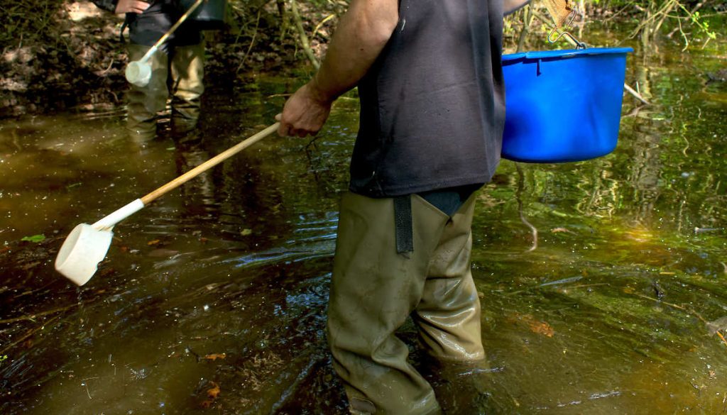 Zwei KABS-Mitarbeiter stehen im überschwemmten Auwald und sind mit Schöpfer und einem Eimer Bti-Granulat ausgestattet.