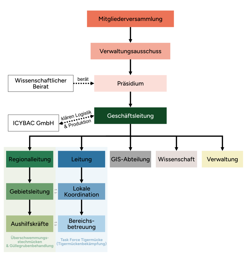 Ein Organigramm welches die Struktur der KABS beschreibt.
