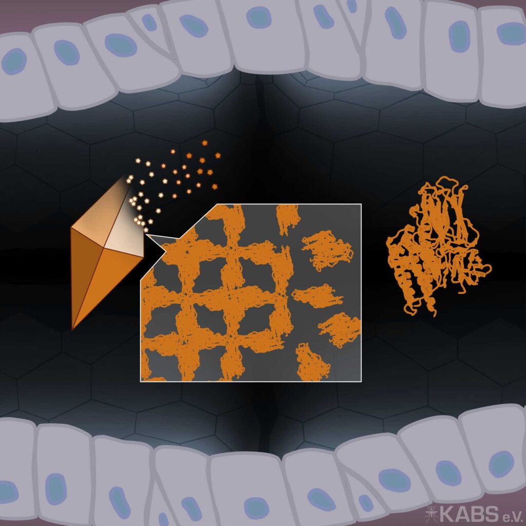 Grafik: Toxine werden aktiviert.