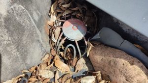 Ein Wasserablauf auf einem Garagendach.