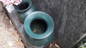 In den Grabvasen sammelt sich Wasser.