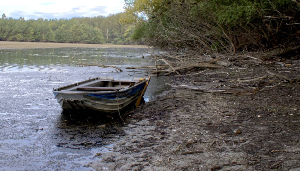Ein Boot liegt fast auf Land bei Niedrigwasser an einem Altrheinarm.