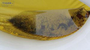 Wasserreste in einem Planschbecken.