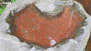 Wasser steht in einer Vogeltränke.