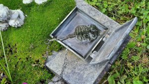 Im Weihwasserkessel steht Wasser.