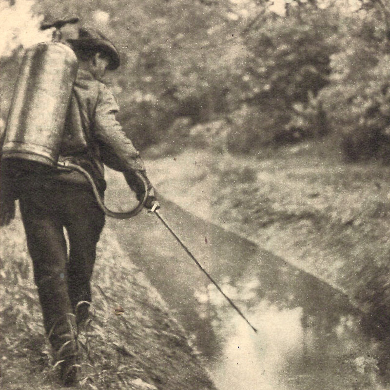 Eine Behandlung gegen Stechmückenlarven im Jahr 1933.
