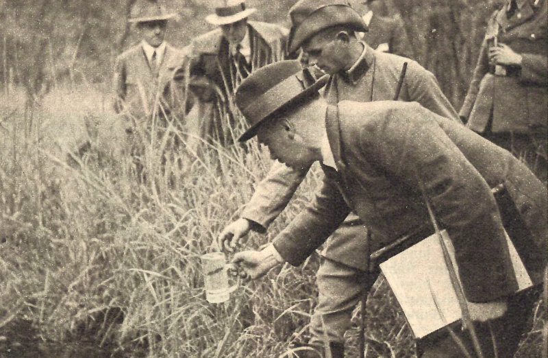 Eine Larvenprobennahme im Jahr 1933.