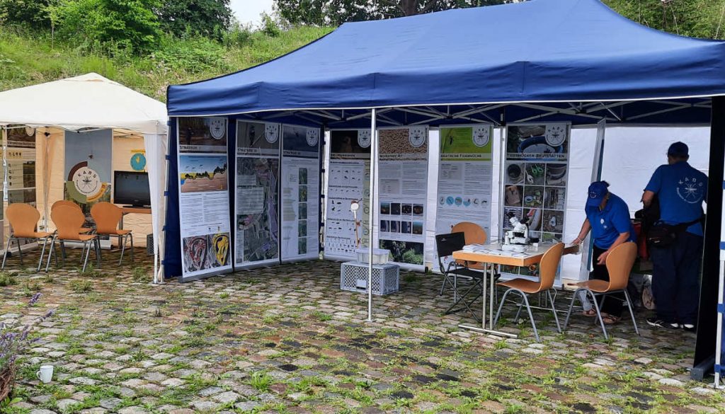 Der KABS Info-Stand zum Tag der Insekten 2024.