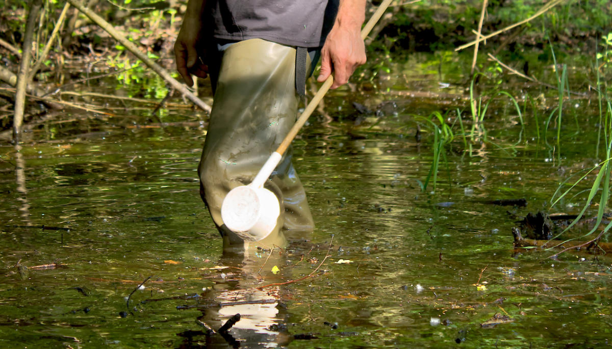 Ein KABS-Mitarbeiter läuft durch eine überschwemmte Aue.