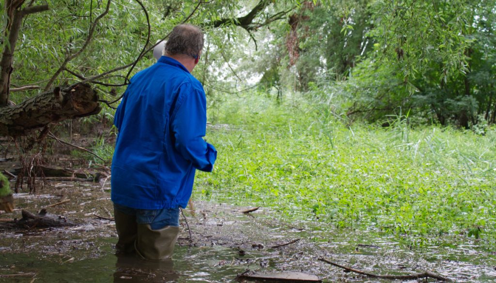 Ein KABS-Mitarbeiter schaut Richtung Brutstätte während er im Wasser steht.
