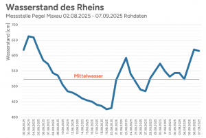 Maxau Wasserstand August 2025