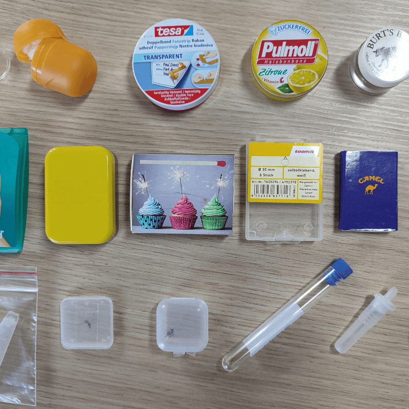Das Bild wechselt. Das erste Bild zeigt unterschiedliche kleine Gefäße wie etwa eine Streichholzschachtel oder eine leere Bonbon-Dose in denen tigermücken transportiert werden können. Das zweite Bild zeigt gute Fotografien von Tigermücken die sich zur Bestimmung eignen. Das dritte Bild zeigt schlechte Fotografien auf denen die Tigermücke nicht gut bestimmt werden kann.