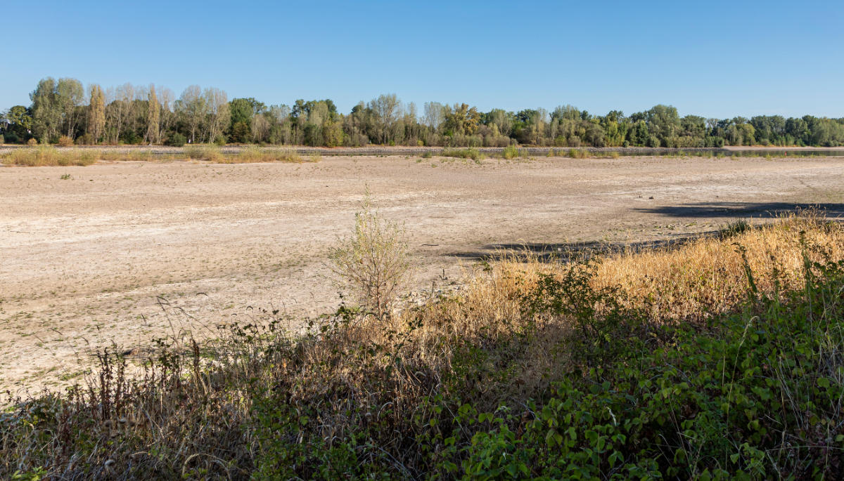 Blick auf Teile des fast ausgetrockneten Rheins bei Biblis Nordheim.